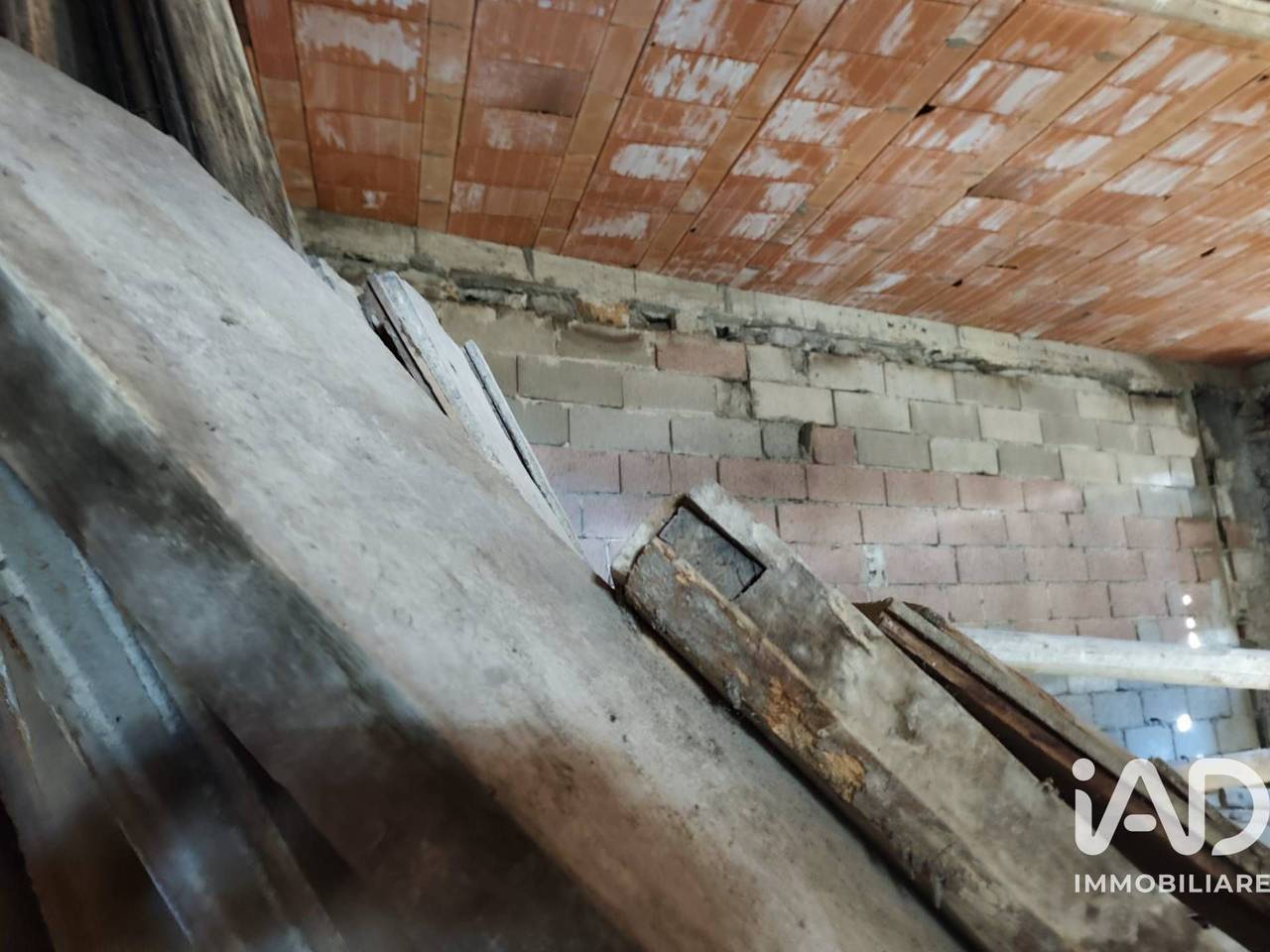 immagine annuncio 11 di 13