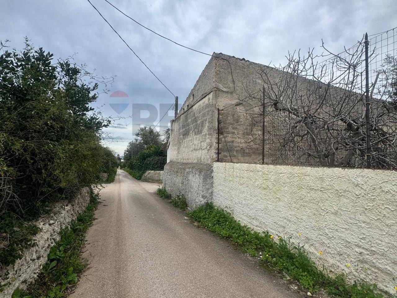 immagine annuncio 11 di 12