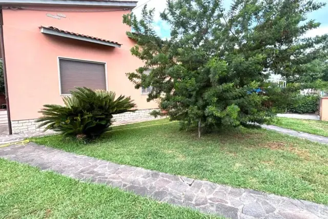 insertion image