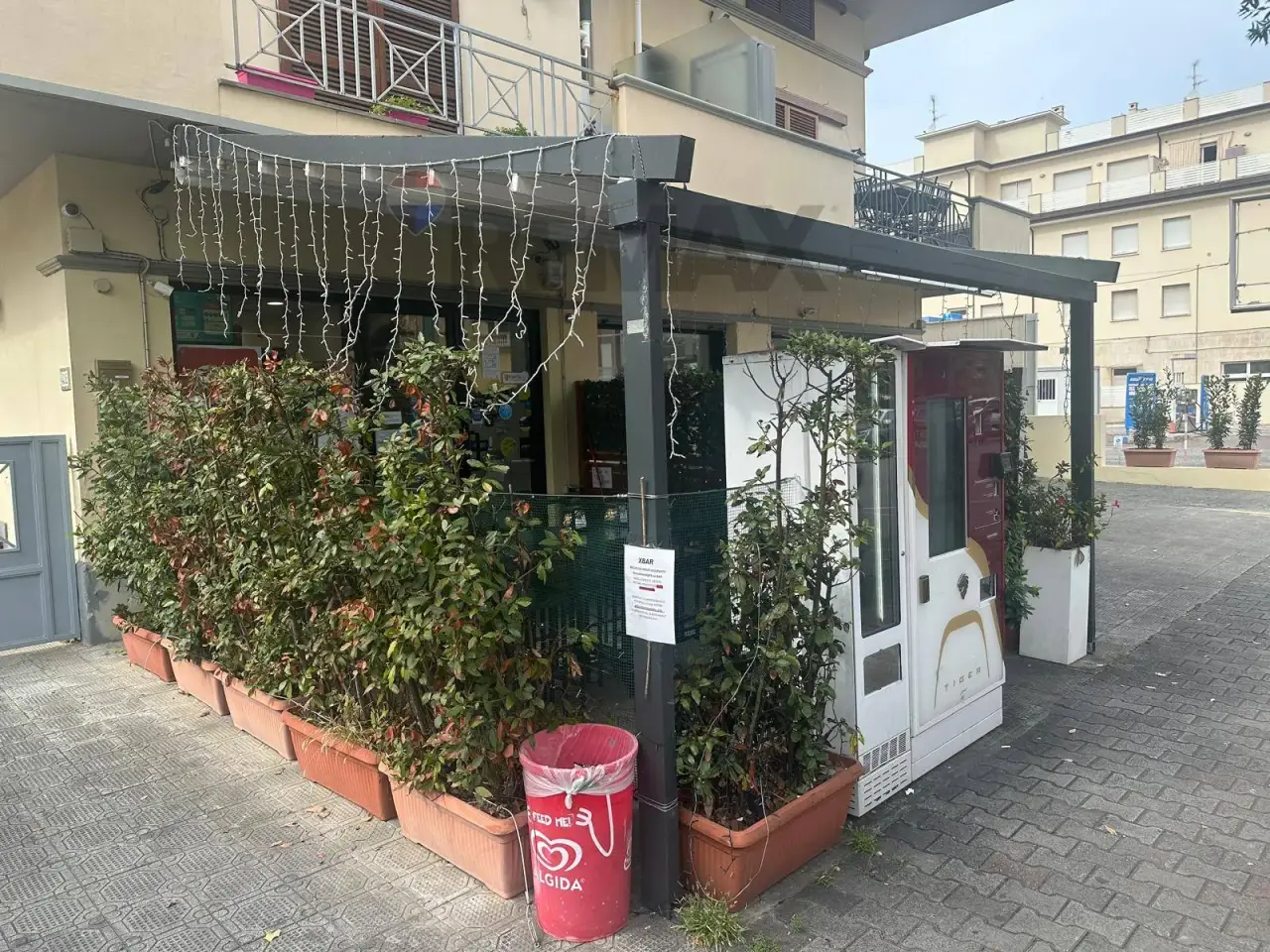 Esercizio commerciale in Viale C. Colombo 404, Camaiore, {3} - Foto 2