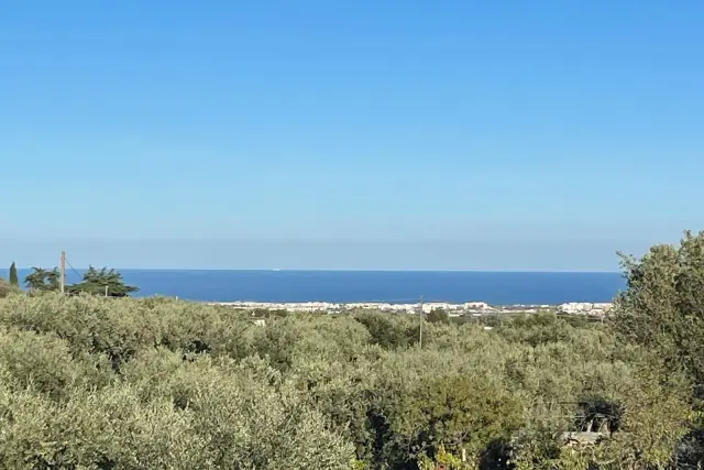 Terreno agricolo in Contrada San Vincenzo, Monopoli - Foto 1