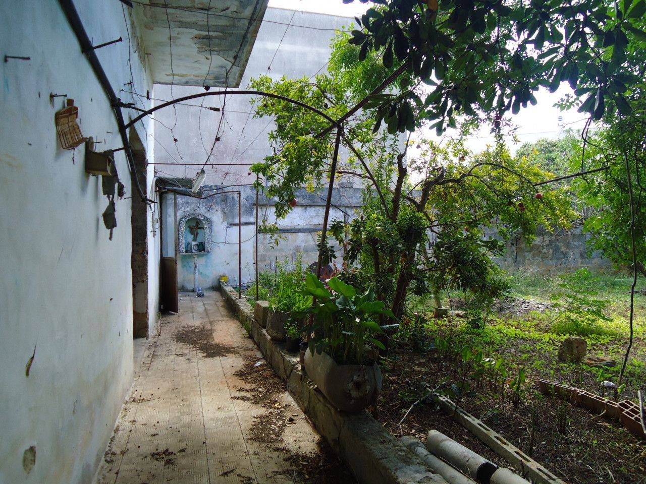 immagine annuncio 2 di 12