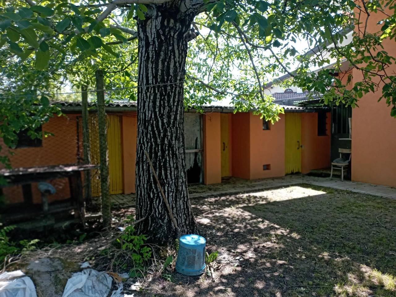 immagine annuncio 11 di 12