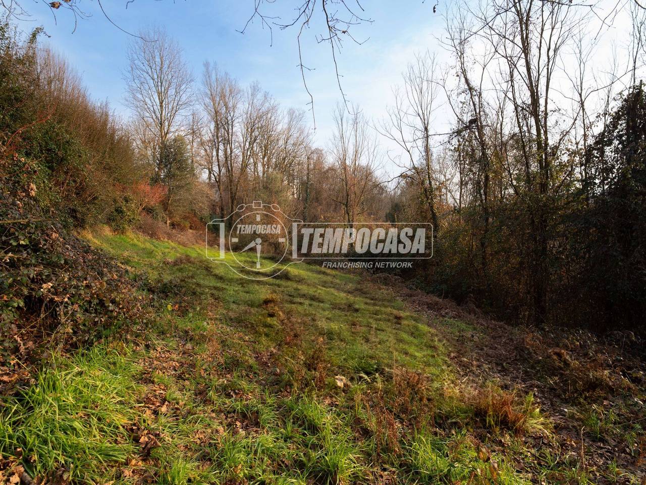 immagine annuncio 2 di 11