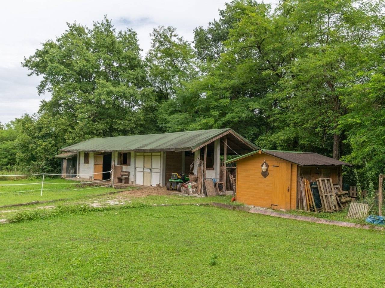 immagine annuncio 5 di 15