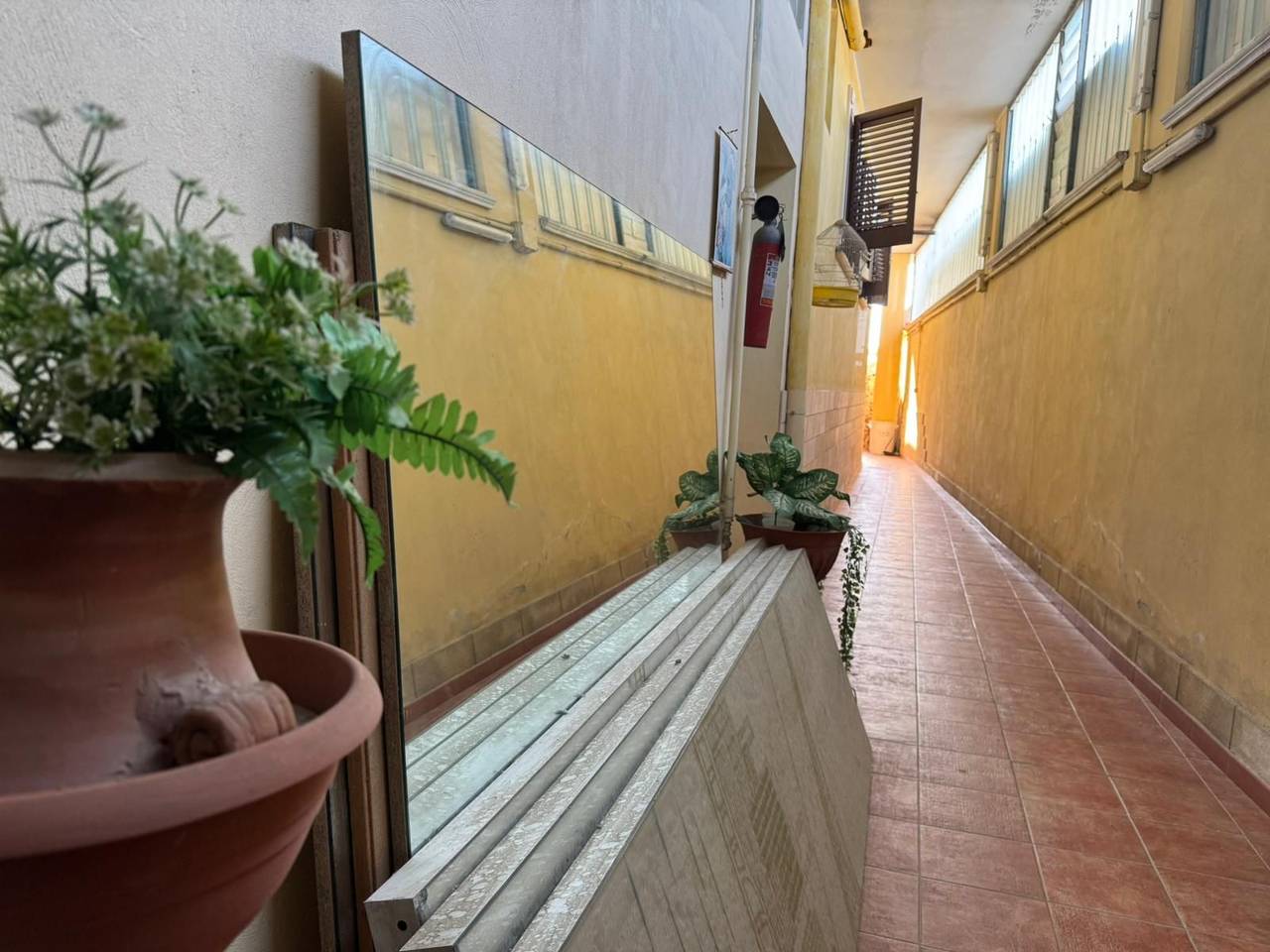 immagine annuncio 13 di 14