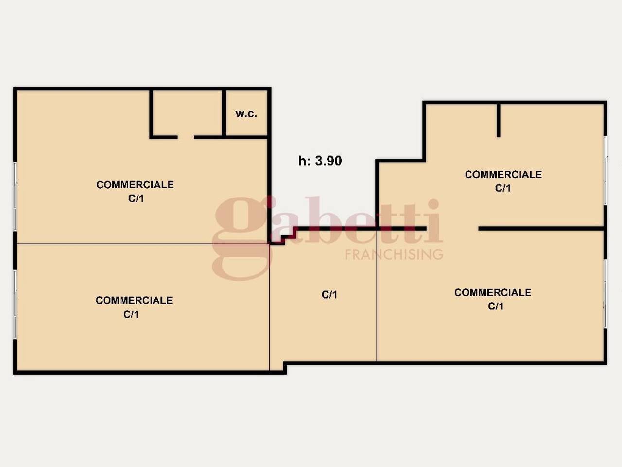 immagine annuncio 2 di 15