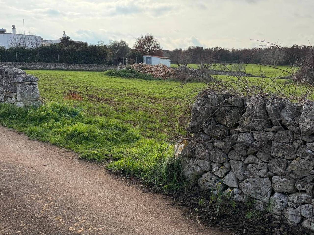 immagine annuncio 5 di 7