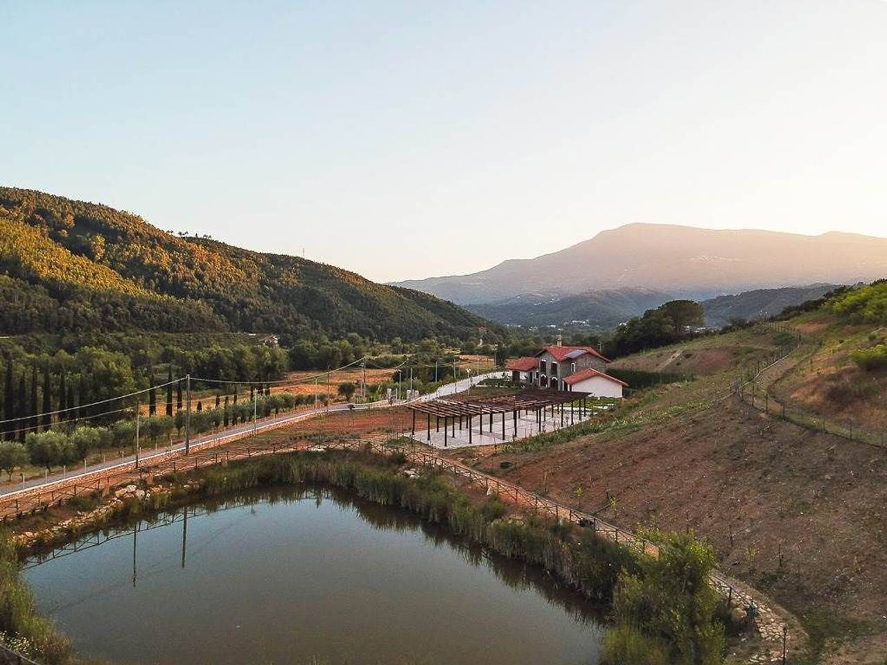 immagine annuncio 11 di 12