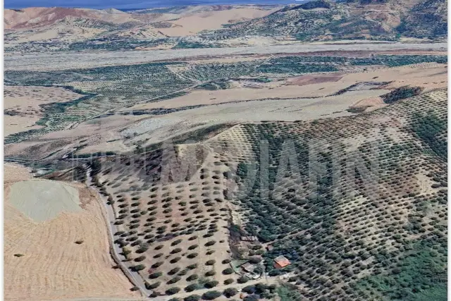 insertion image