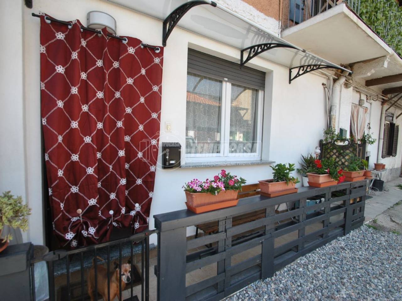 immagine annuncio 1 di 13