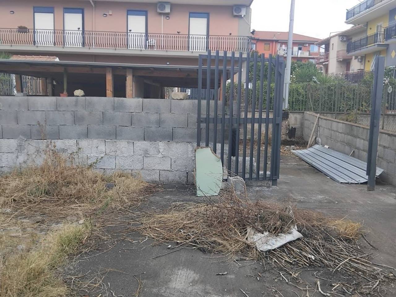immagine annuncio 9 di 12