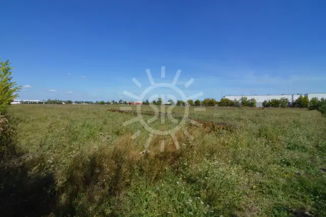 insertion image