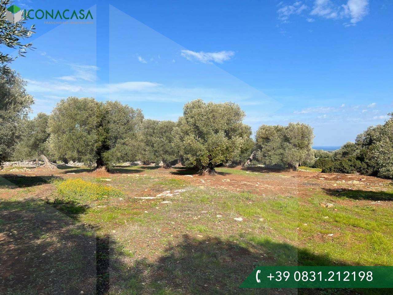 immagine annuncio 8 di 9