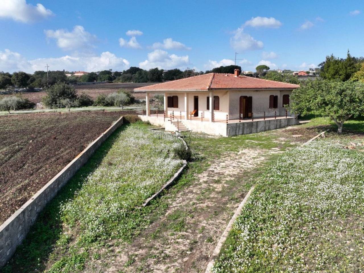 immagine annuncio 6 di 11