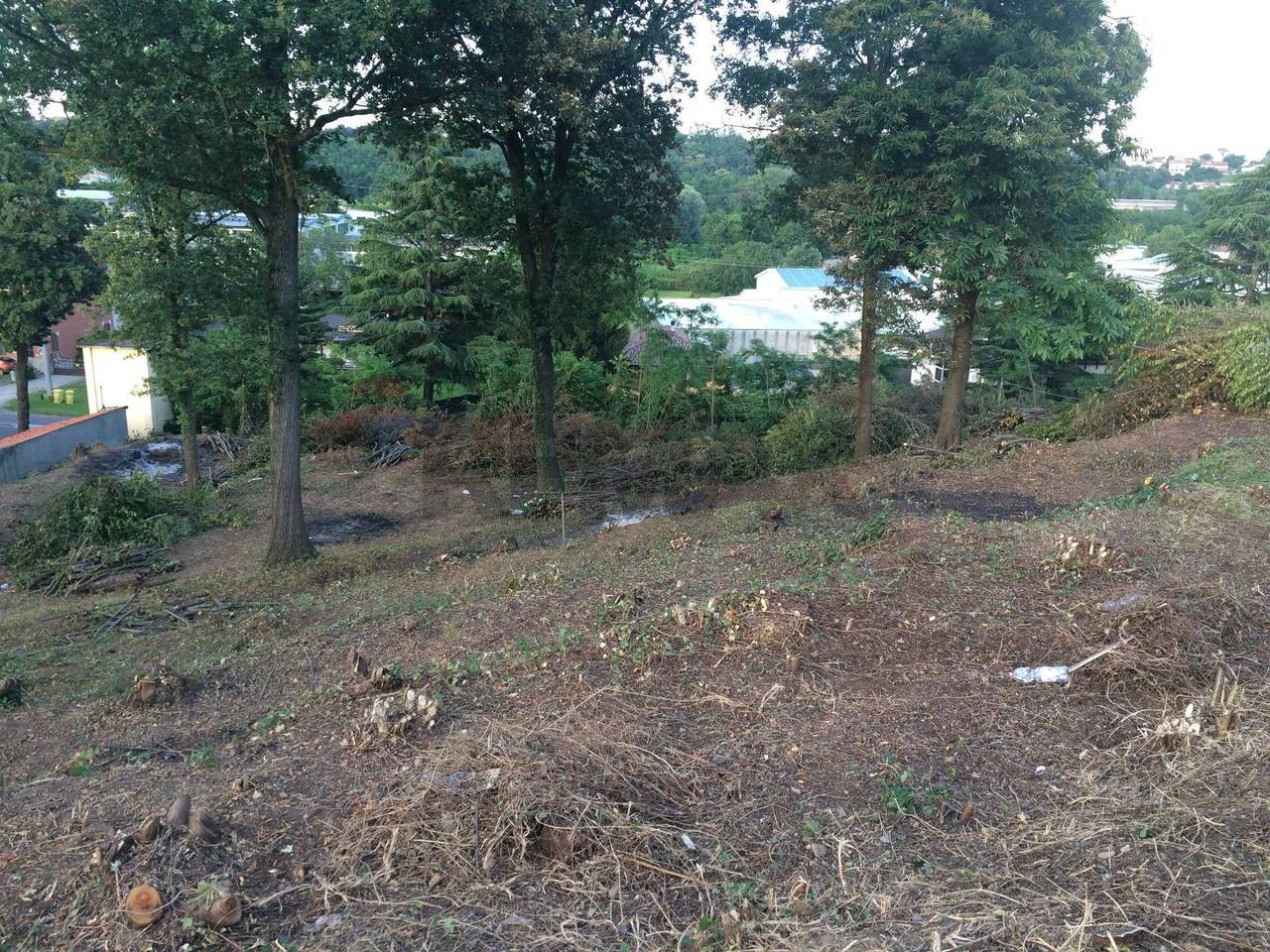 immagine annuncio 2 di 11