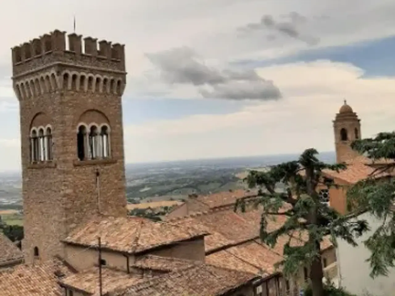 Ristorante in Via del Cantalupo, Bertinoro, {3} - Foto 1