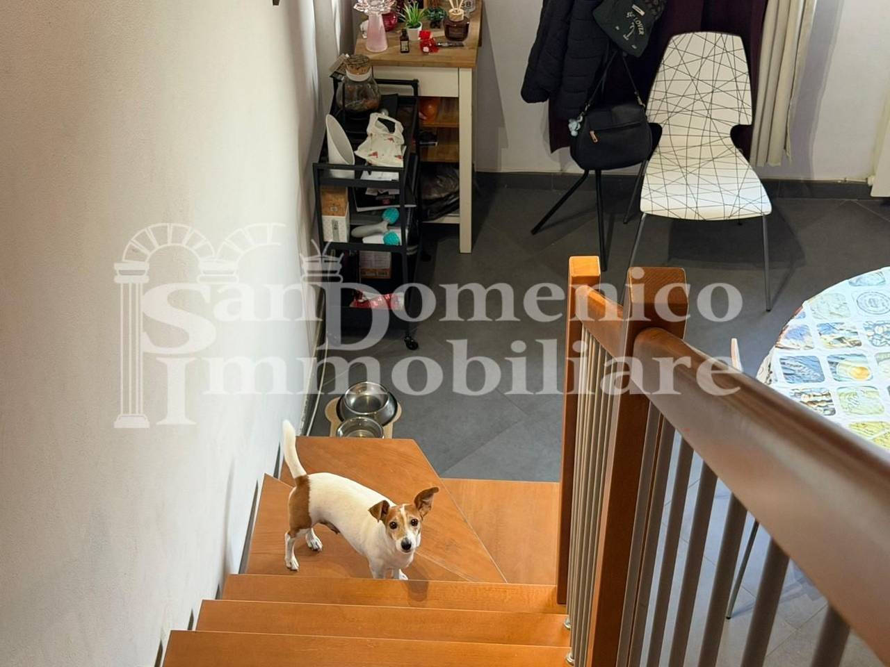 immagine annuncio 2 di 13