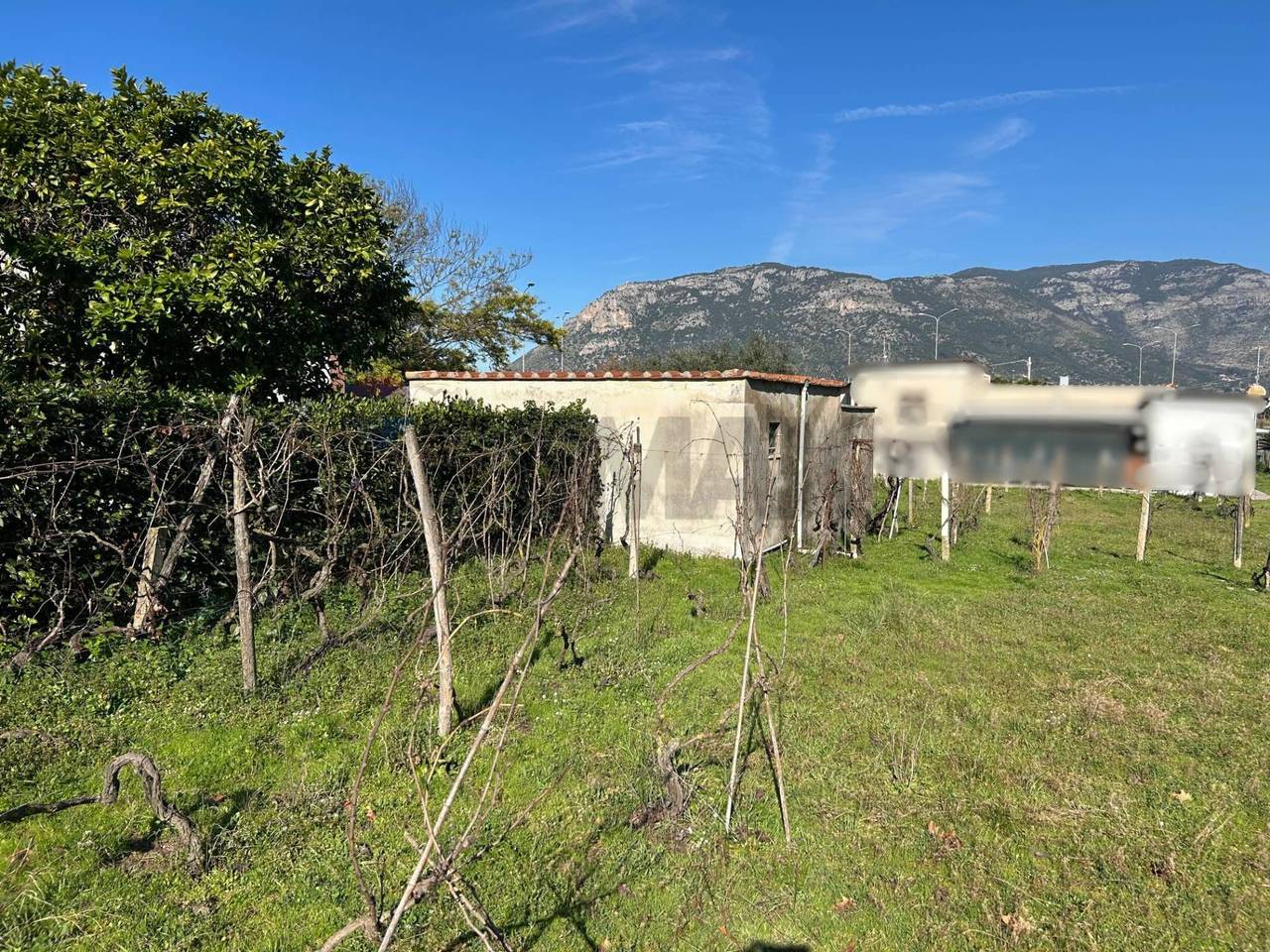 immagine annuncio 3 di 7