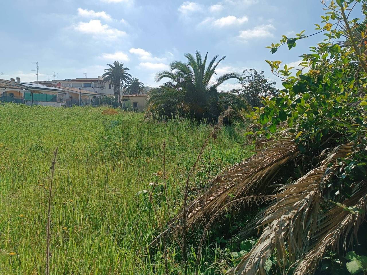 immagine annuncio 5 di 12