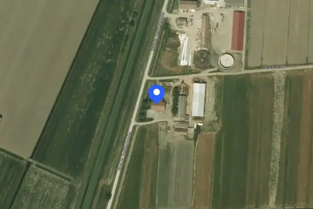 insertion image