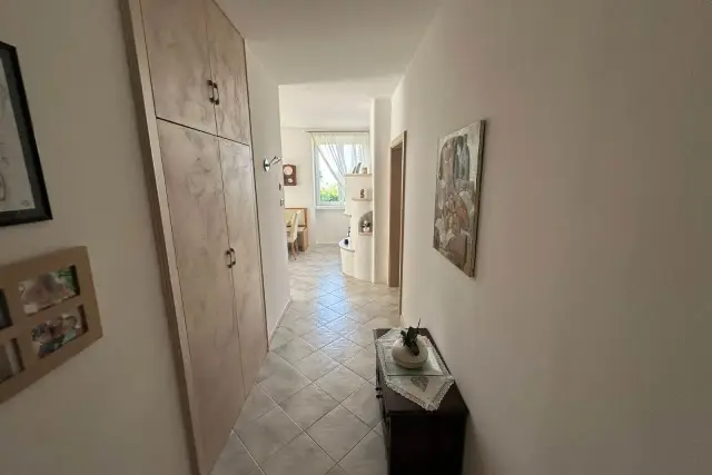 insertion image