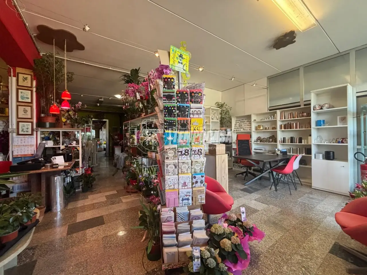 Esercizio commerciale in Via Circonvallazione 1, Pisano, {3} - Foto 1