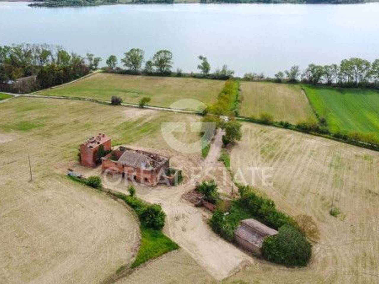 immagine annuncio 6 di 14