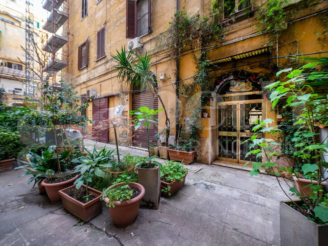 immagine annuncio 4 di 8