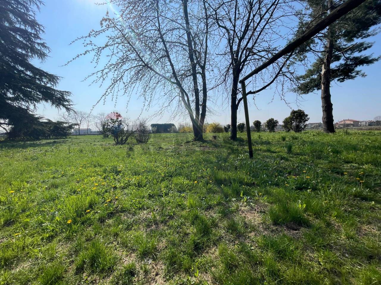 immagine annuncio 9 di 11