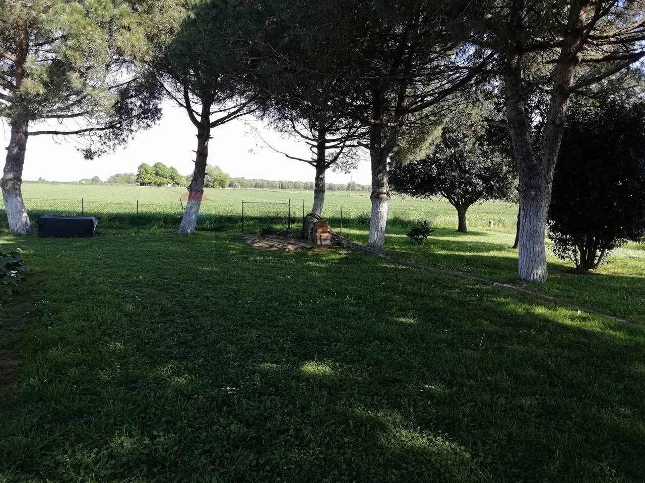 immagine annuncio 4 di 6