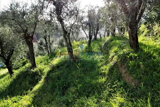 Agrargrundstück in Viale XX Settembre 10, Carrara - Foto 1