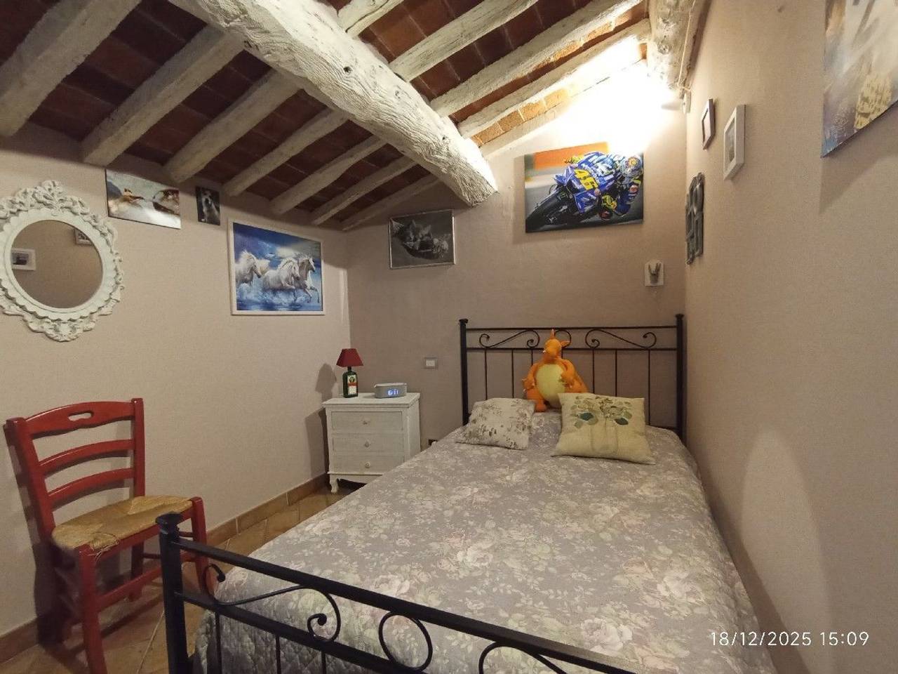 immagine annuncio 11 di 15