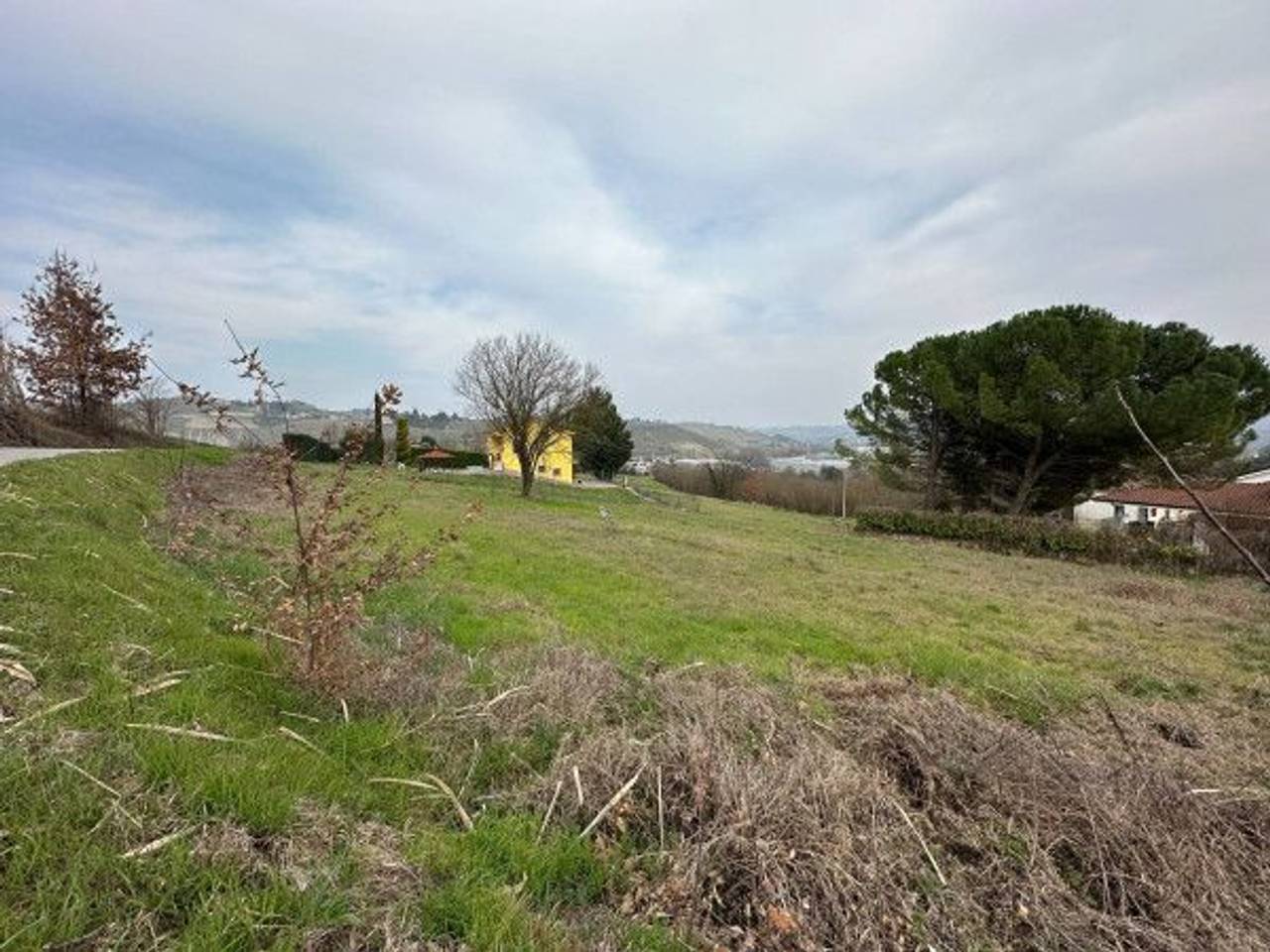 immagine annuncio 9 di 13