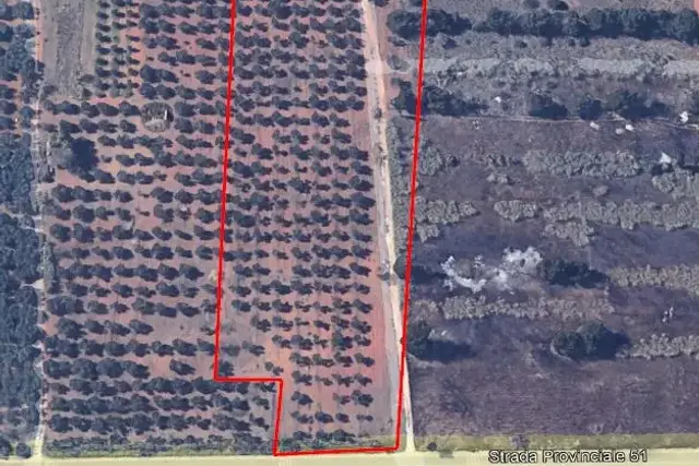 insertion image