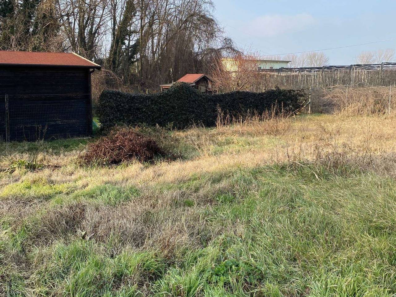 immagine annuncio 1 di 4