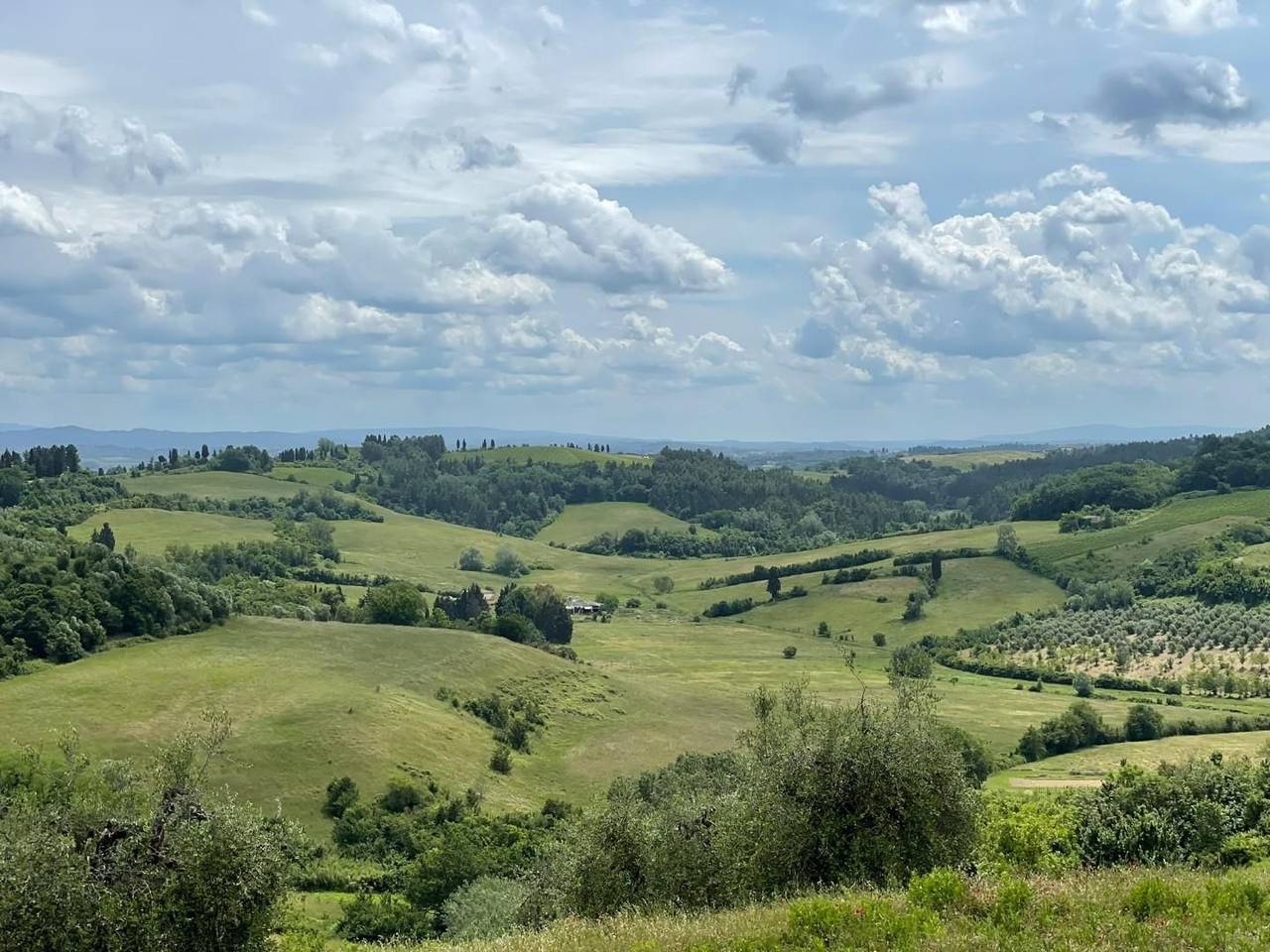 immagine annuncio 2 di 14