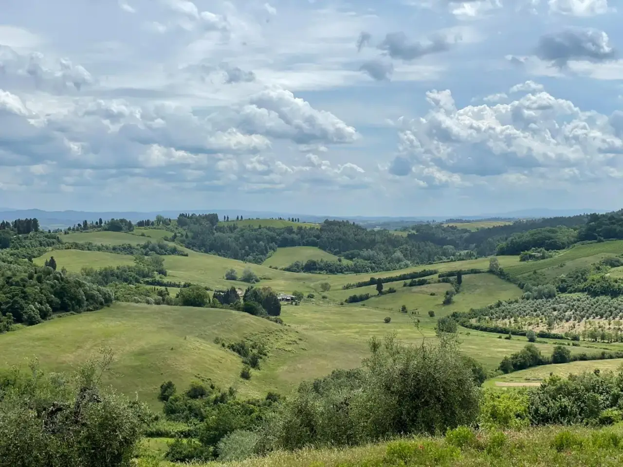 Azienda agricola in , San Miniato, {3} - Foto 2