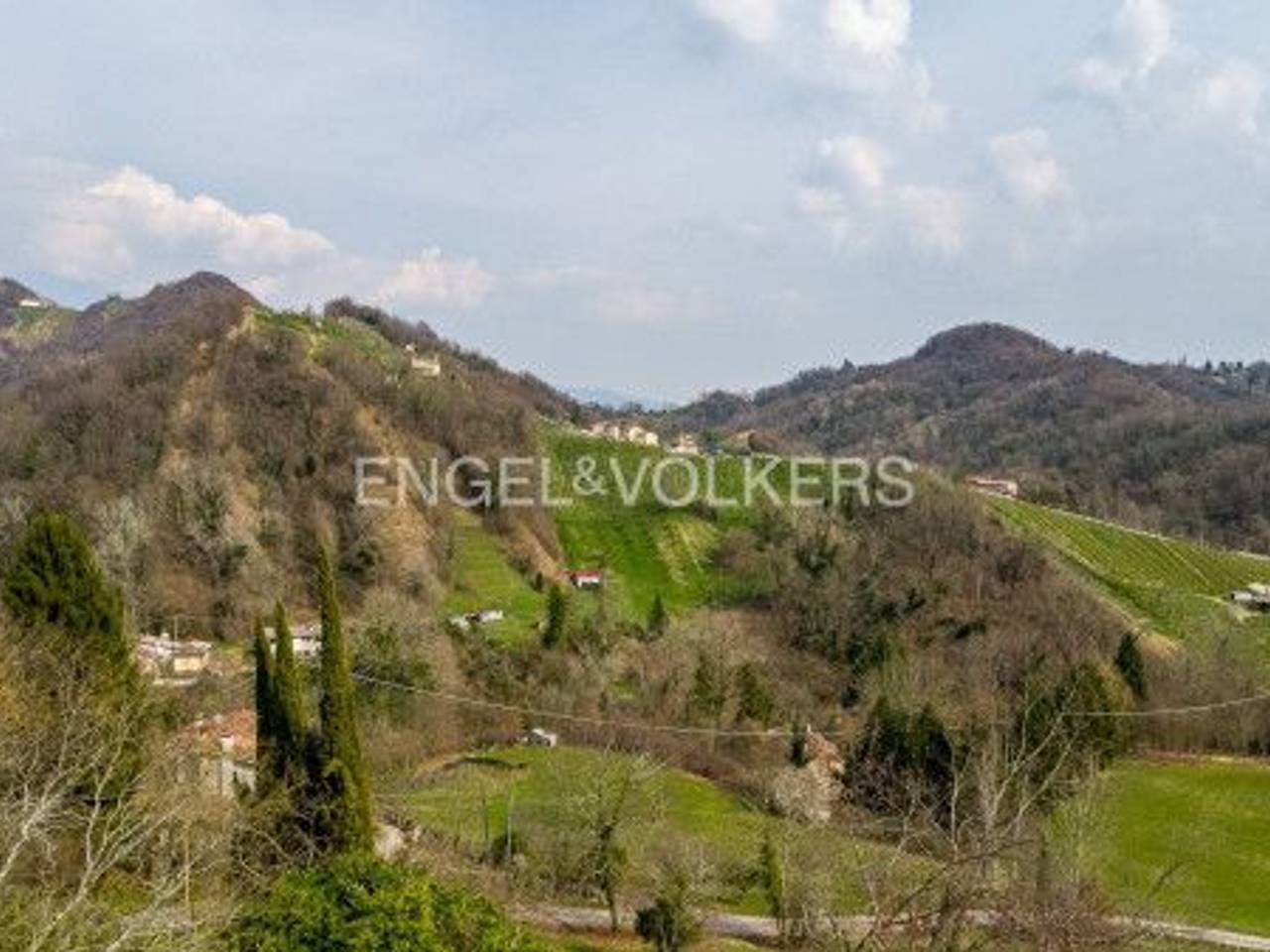 immagine annuncio 4 di 9