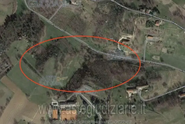 insertion image