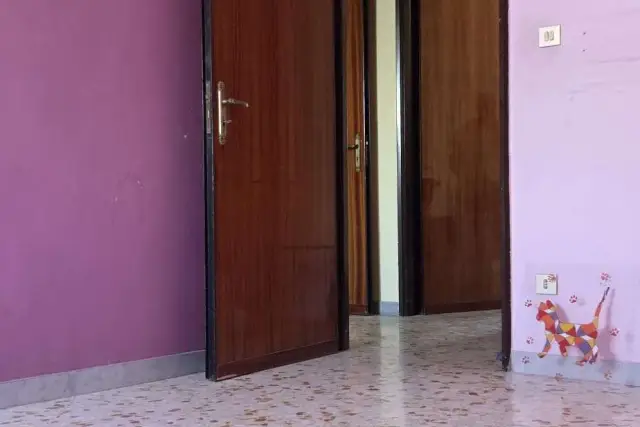 insertion image