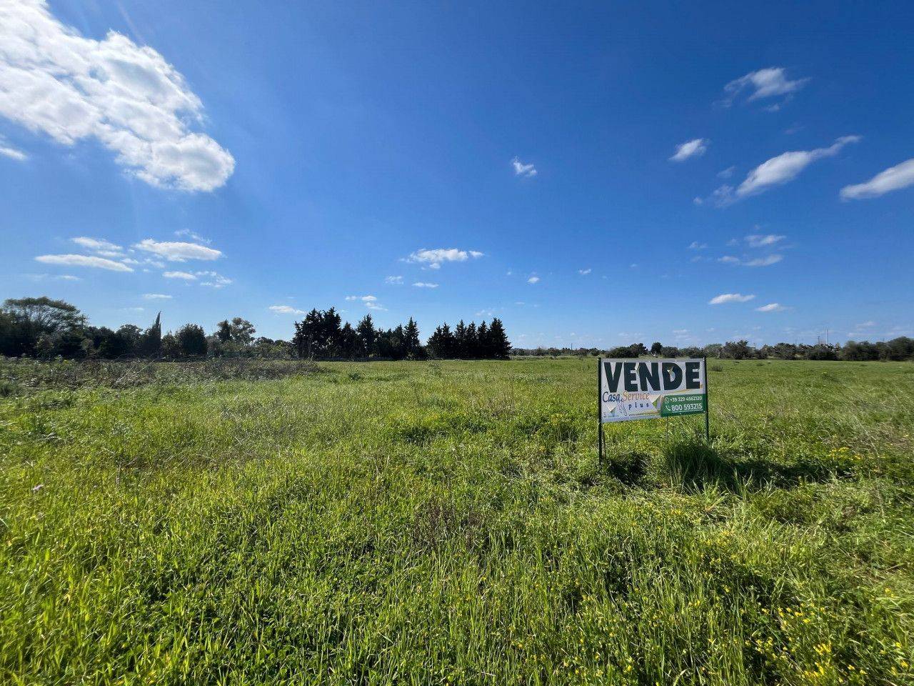 immagine annuncio 7 di 11