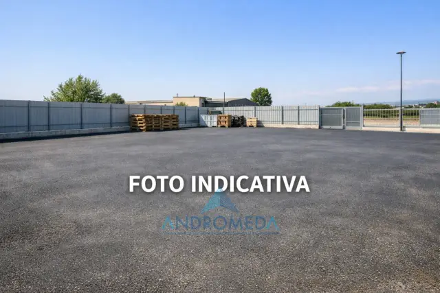 insertion image