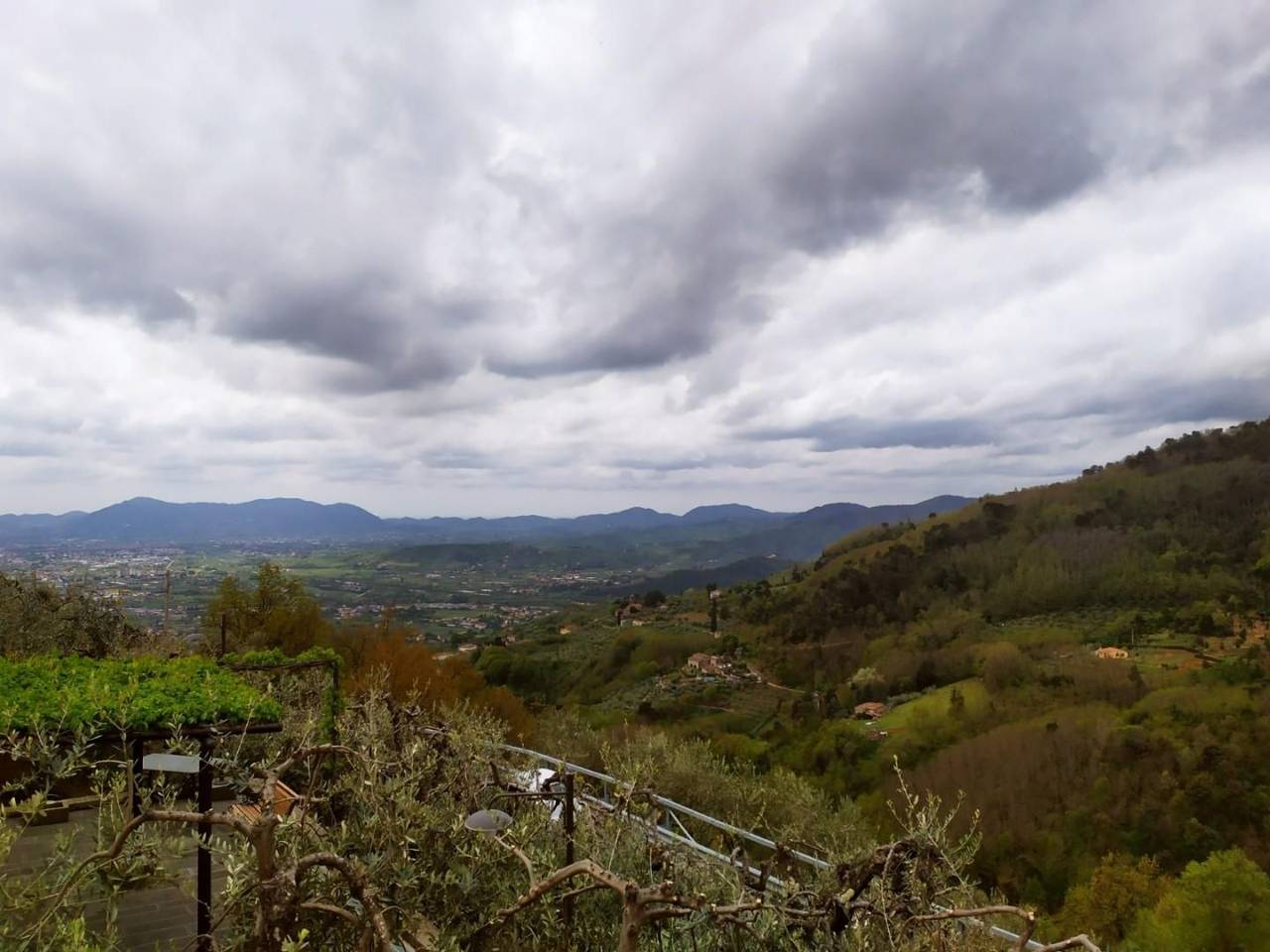 immagine annuncio 14 di 15