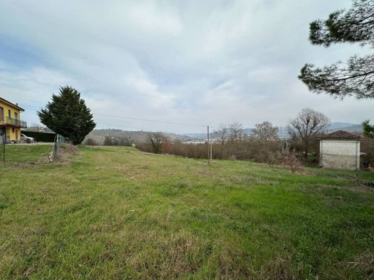 immagine annuncio 3 di 13