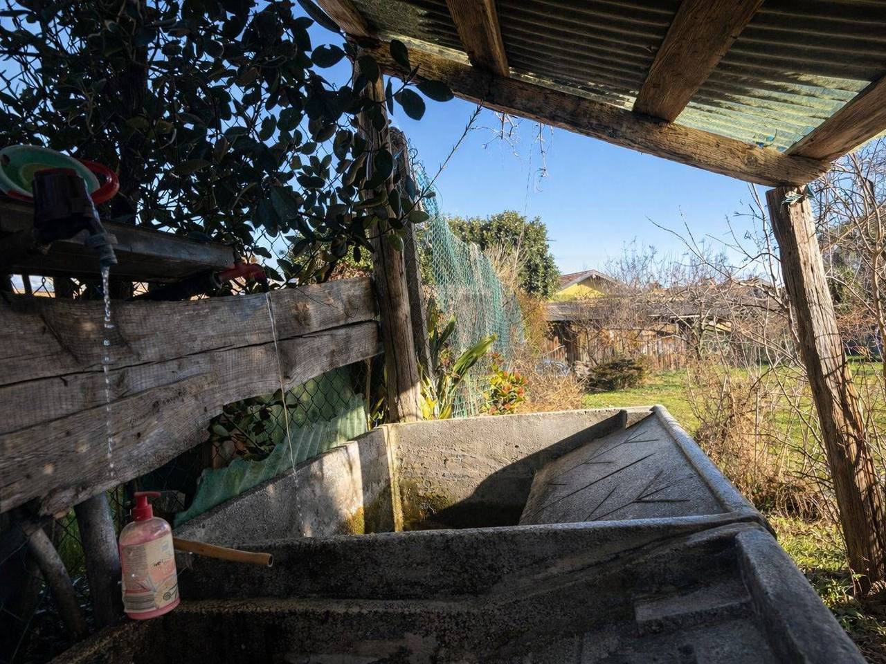 immagine annuncio 10 di 12