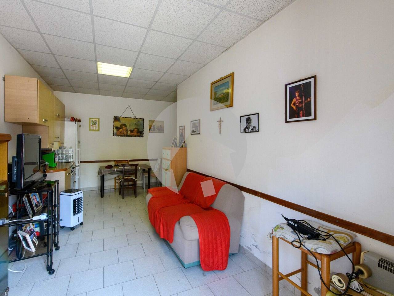 immagine annuncio 3 di 14