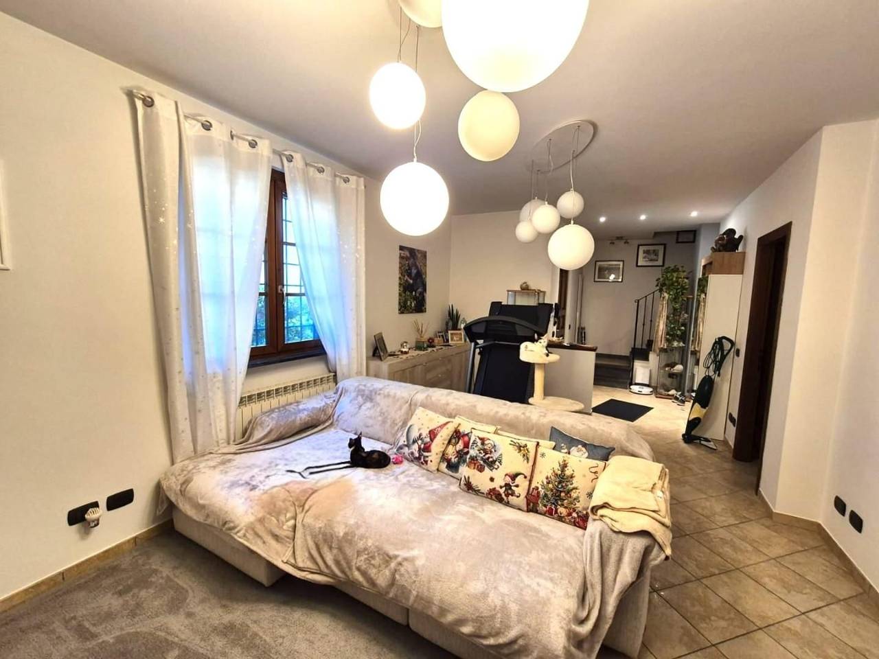 immagine annuncio 3 di 14