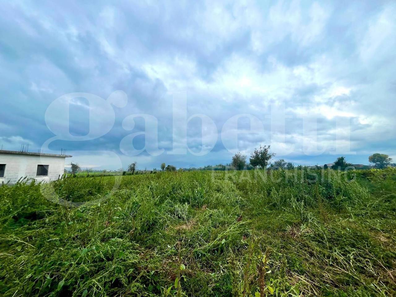 immagine annuncio 4 di 11