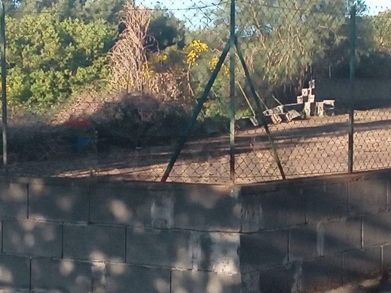 immagine annuncio 9 di 11